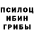 Галлюциногенные грибы Magic Shrooms Oomat Karabaev