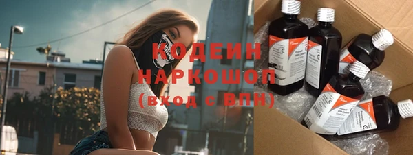 ПСИЛОЦИБИНОВЫЕ ГРИБЫ Новозыбков