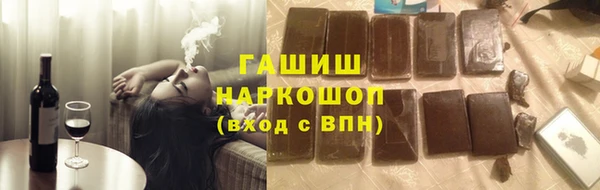 ПСИЛОЦИБИНОВЫЕ ГРИБЫ Новозыбков