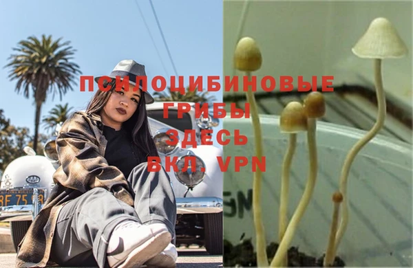 мефедрон Новодвинск