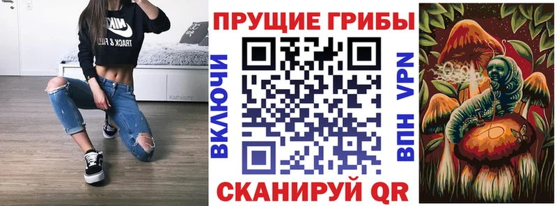 Галлюциногенные грибы Psilocybe  цена   Новопавловск 