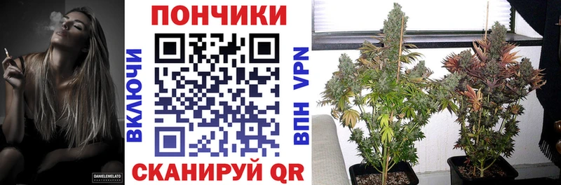 МАРИХУАНА конопля Новопавловск